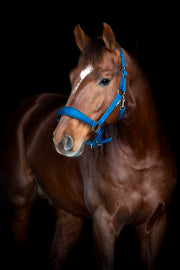 HorseGuard Diya 2.0 Grime - Majolica Blue