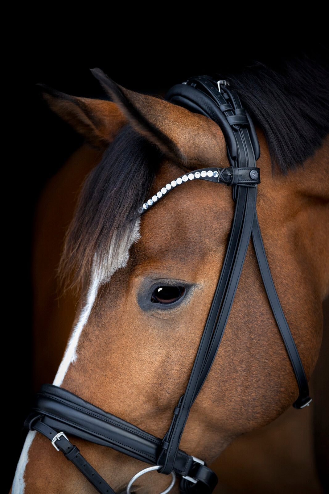 Catago Arlington Trense - Sort
