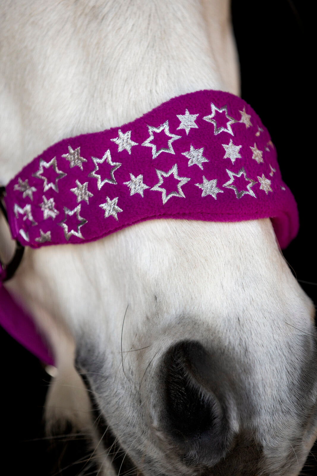 Horse Guard Atlantic Grime - Radiant Orchid