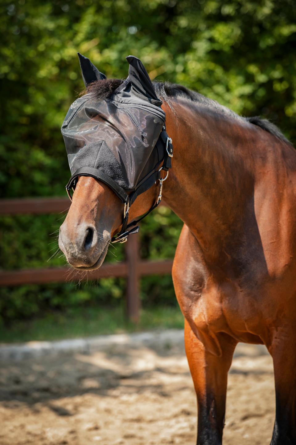 HORSEGUARD Insektgrime med net