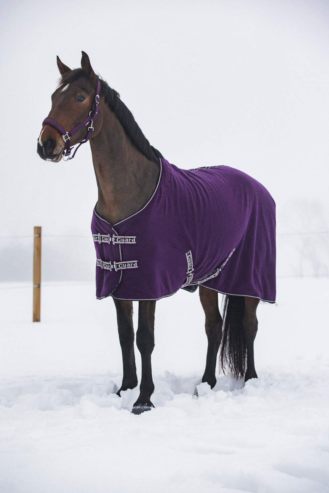 Horse Guard Layne Fleecedækken med Teddyfoer - Purple Pennant