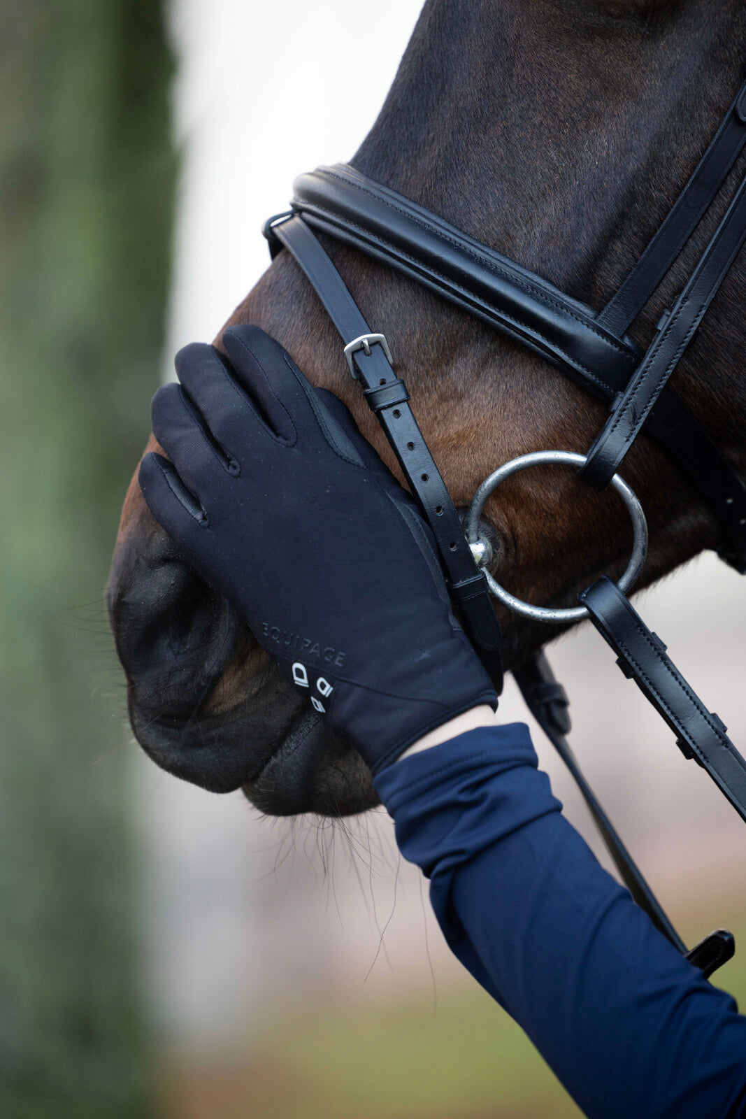 Equipage Laredo Ridehandsker - Sort