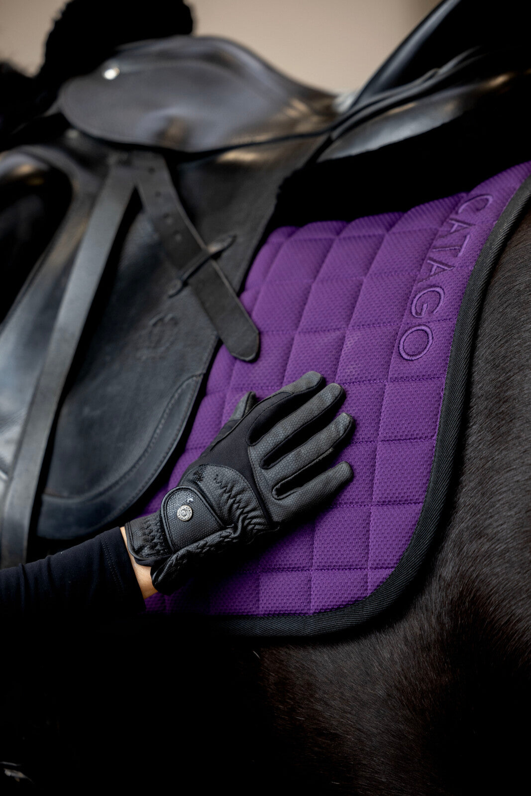 Catago FIR-Tech Dressurunderlag - Purple Pennant