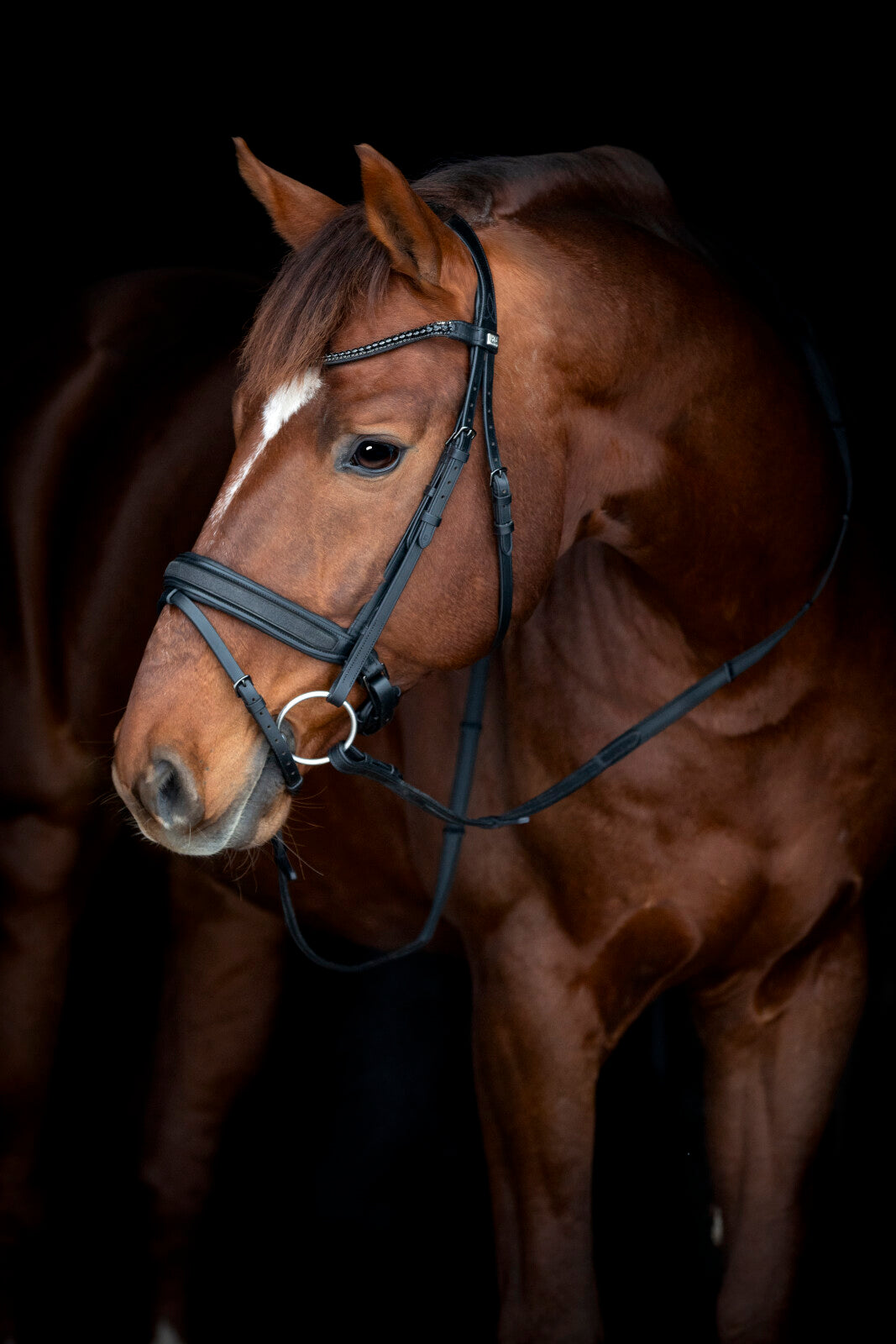 Horse Guard Cryll 26.2-trense - Sort