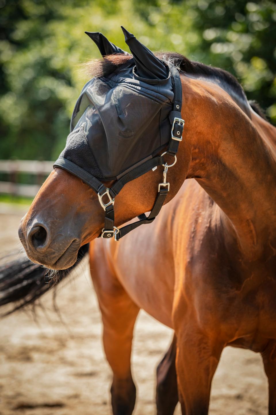 HORSEGUARD Insektgrime med net
