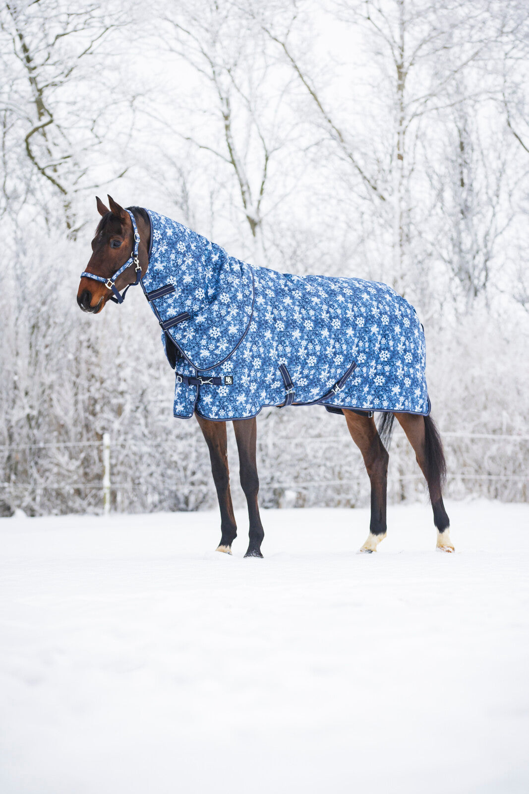 Horse Guard Snowflake Vinterdækken med Aftagelig Hals - Navy