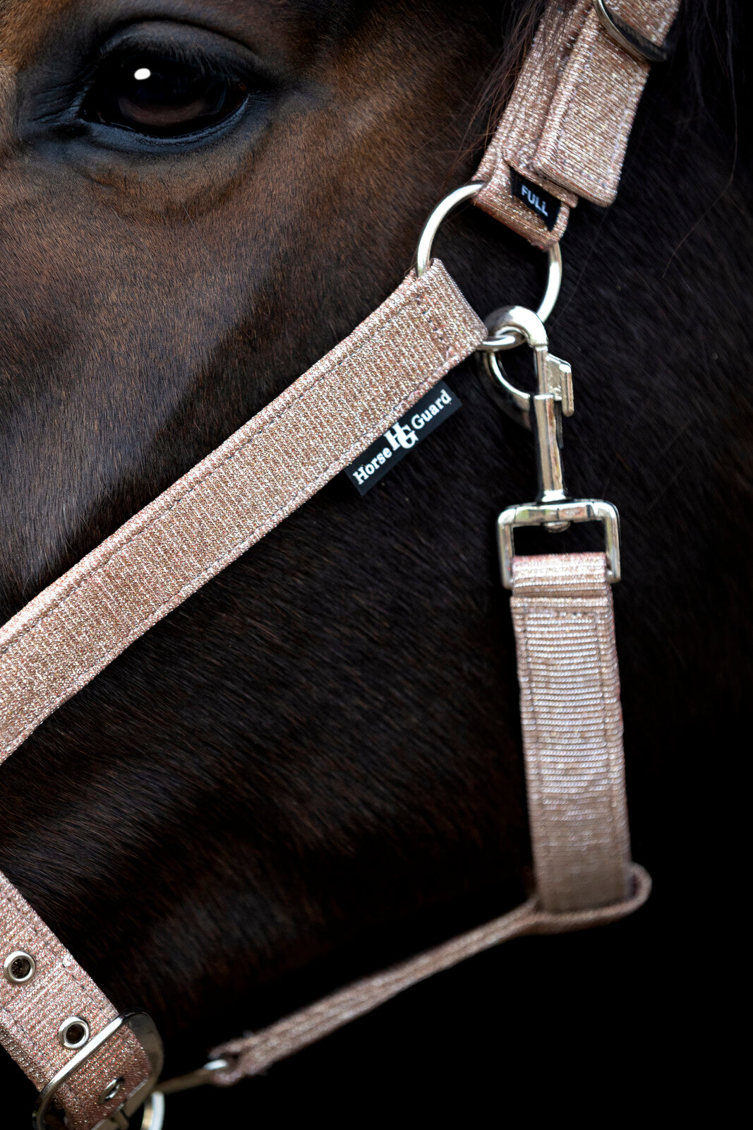 Horse Guard Iowa Grime - Guld