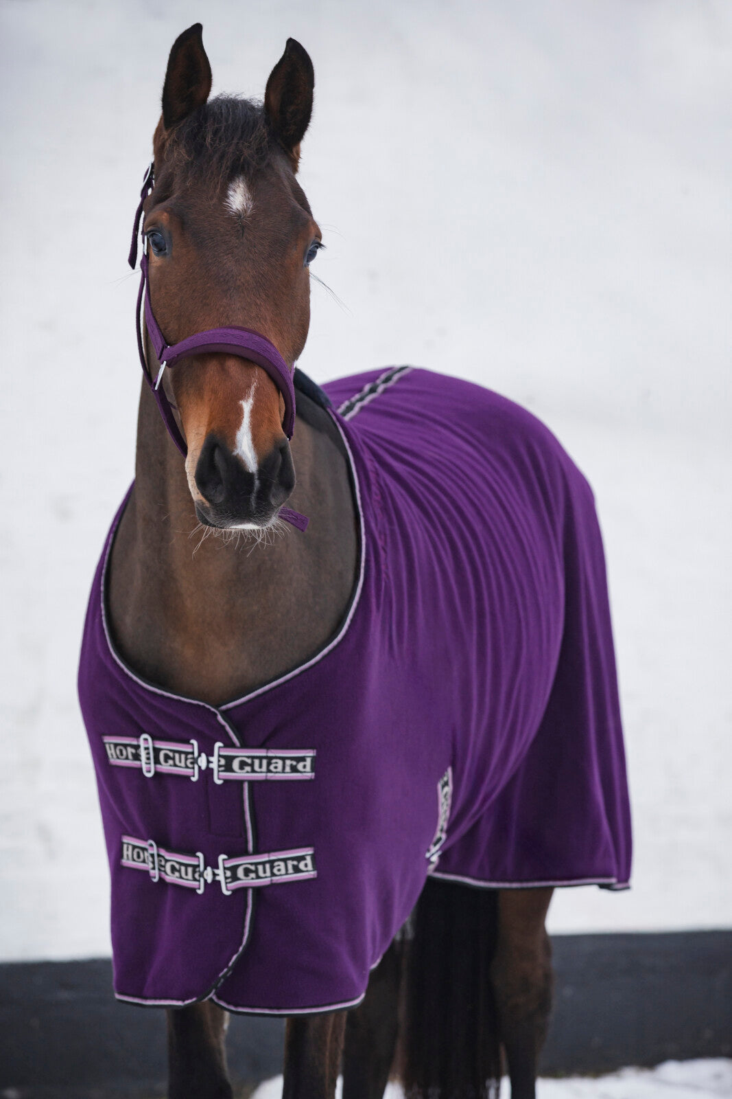 Horse Guard Layne Fleecedækken med Teddyfoer - Purple Pennant