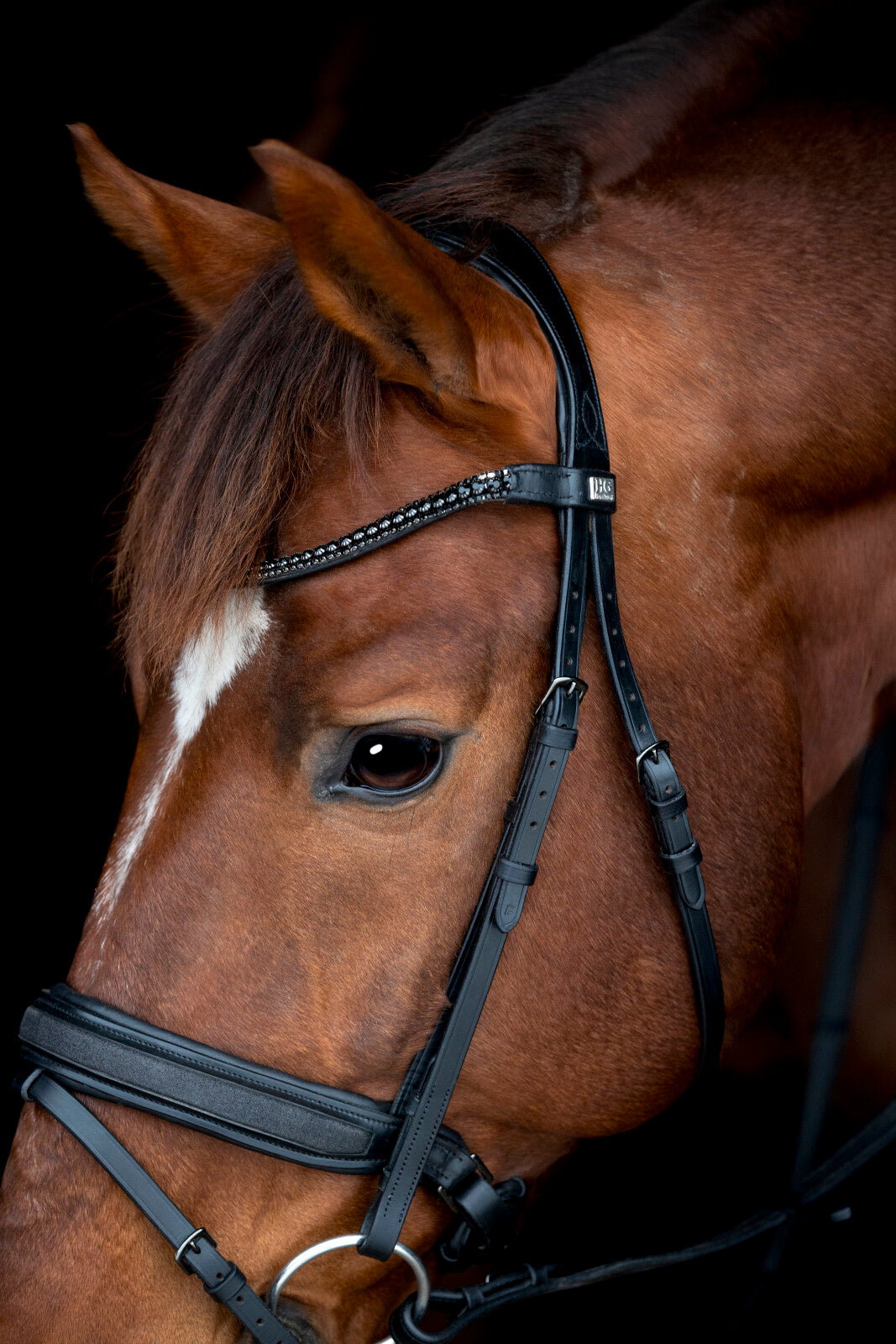Horse Guard Cryll 26.2-trense - Sort