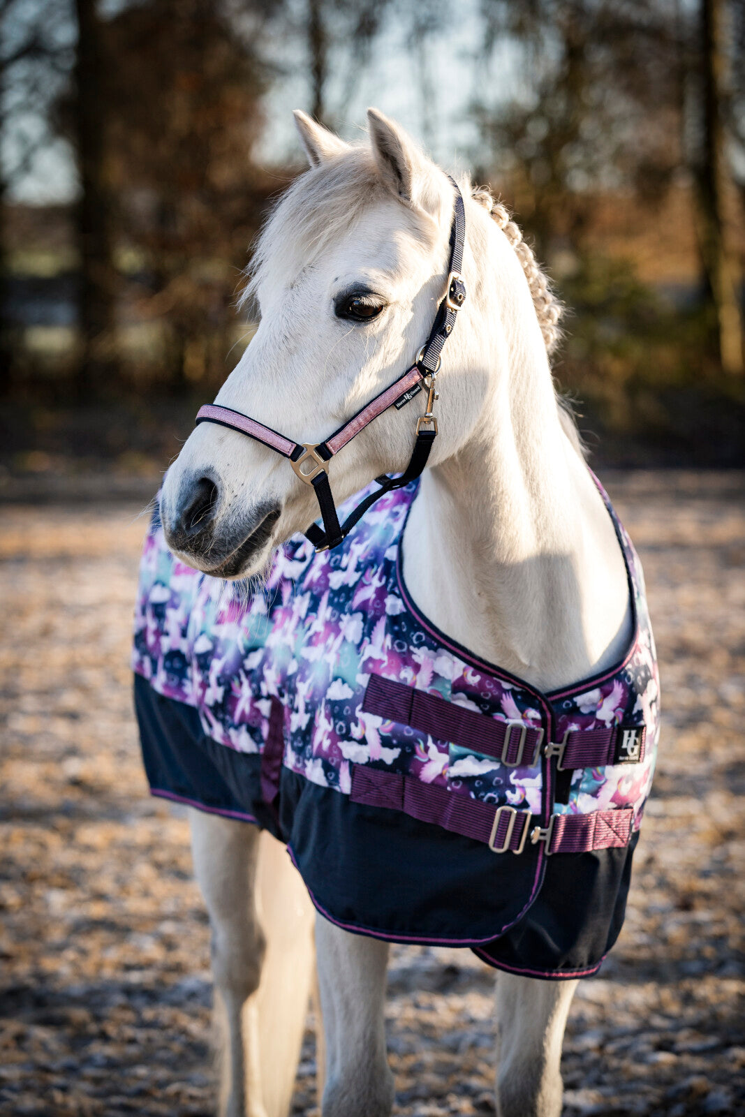 Horse Guard Josh Udedækken 600D 100g - Majolica Blue