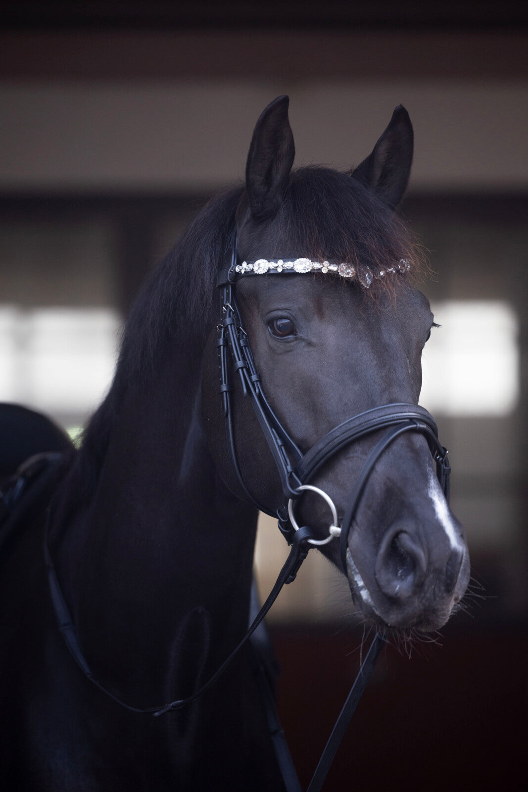 Horse Guard Sunnywale Pandebånd - Sort