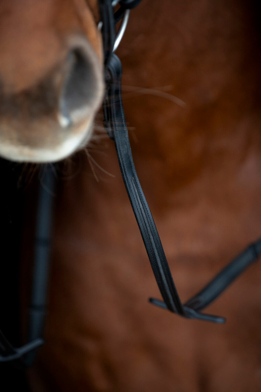 Horse Guard Cryll 26.2-trense - Sort