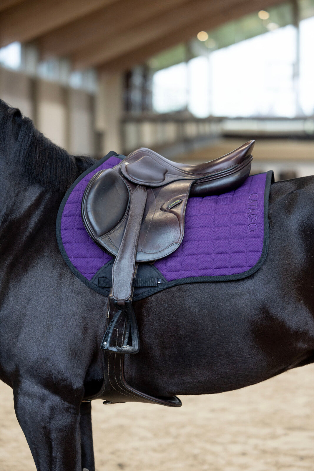 Catago FIR-Tech Dressurunderlag - Purple Pennant