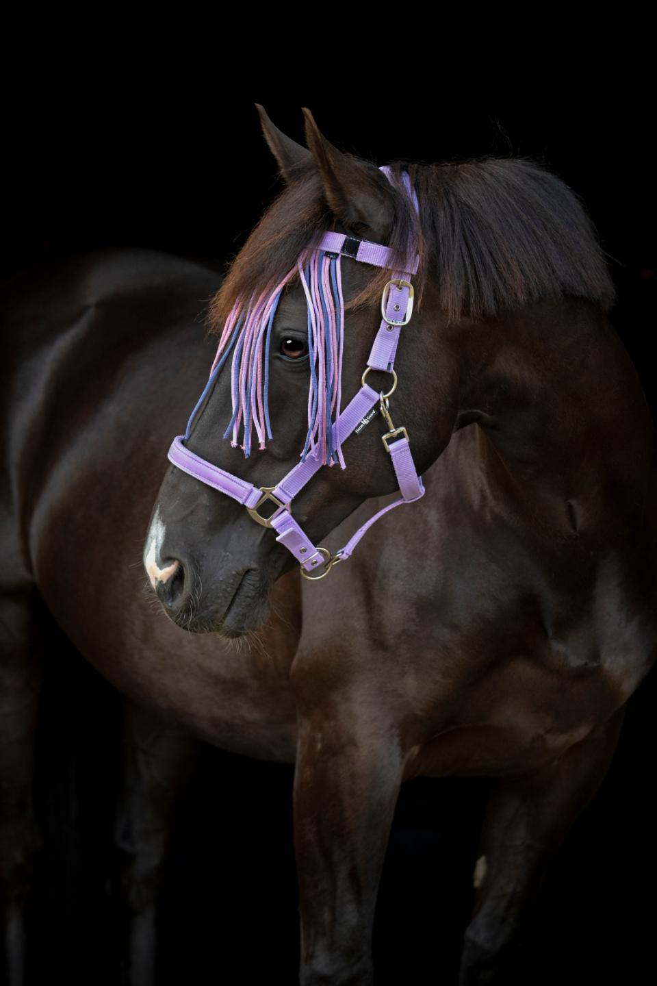 HORSEGUARD MALVA Grime. Lavender. "Pretty Girl"