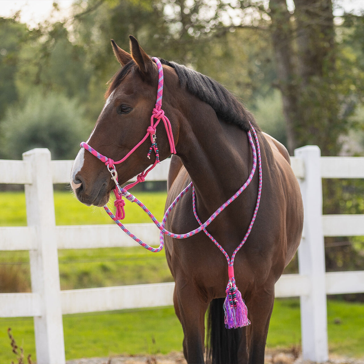 QHP LIBERTY Sæt med rebgrime og blød cordeo. Pink