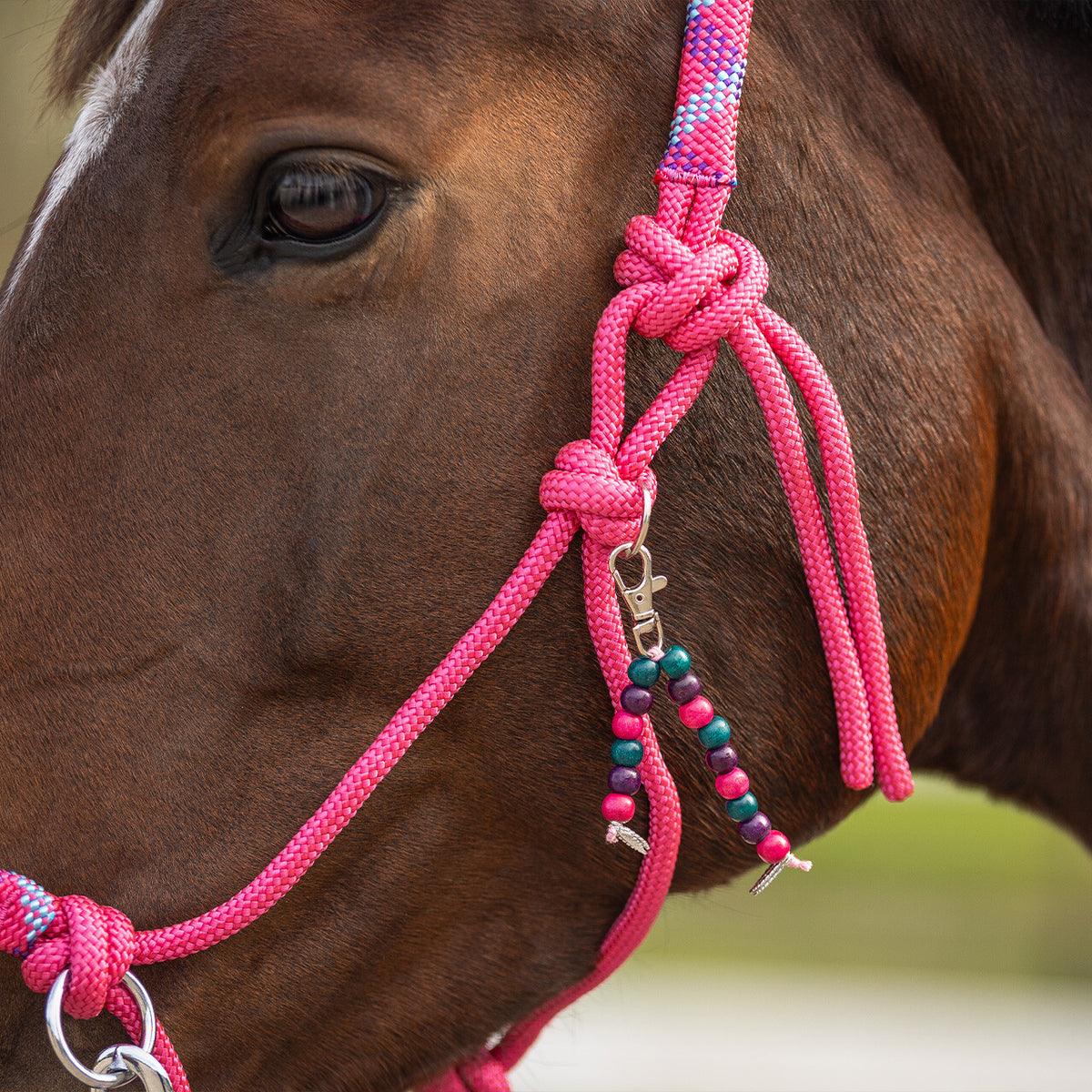 QHP LIBERTY Sæt med rebgrime og blød cordeo. Pink