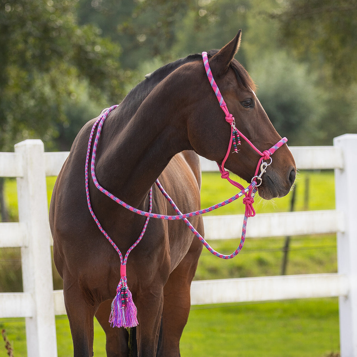 QHP LIBERTY Sæt med rebgrime og blød cordeo. Pink