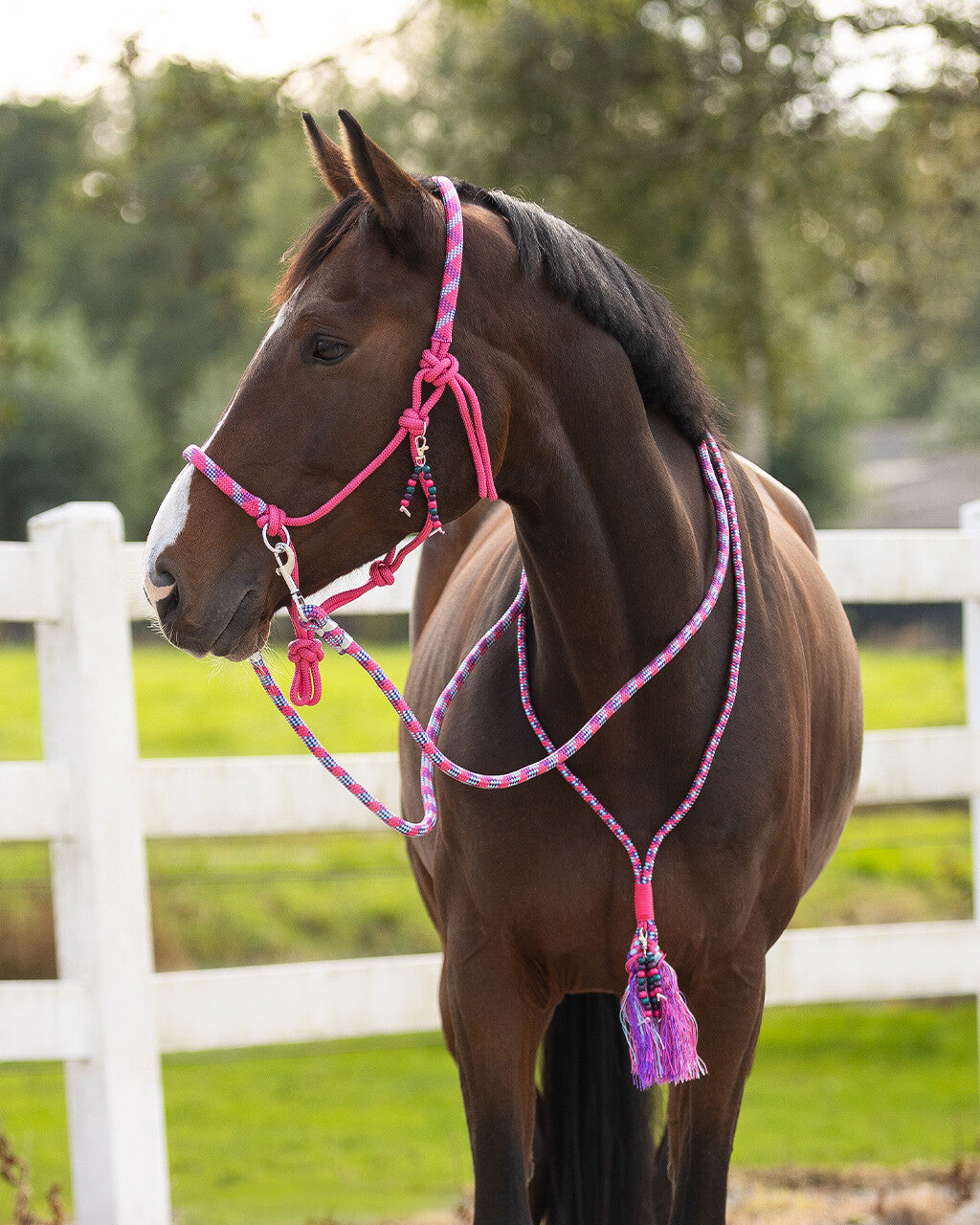 QHP LIBERTY Sæt med rebgrime og blød cordeo. Pink