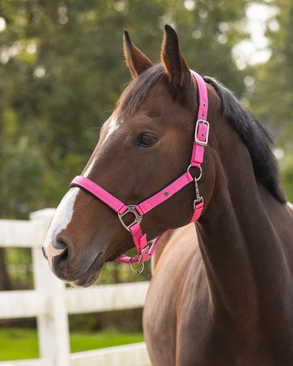QHP DELUXE Grime. Pink