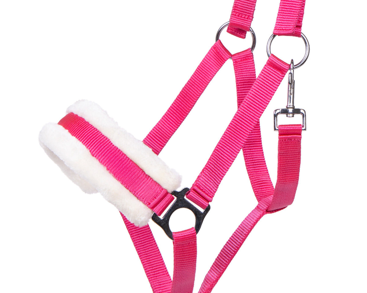 QHP ESSENTIALS CALI Grime. Fuchsia
