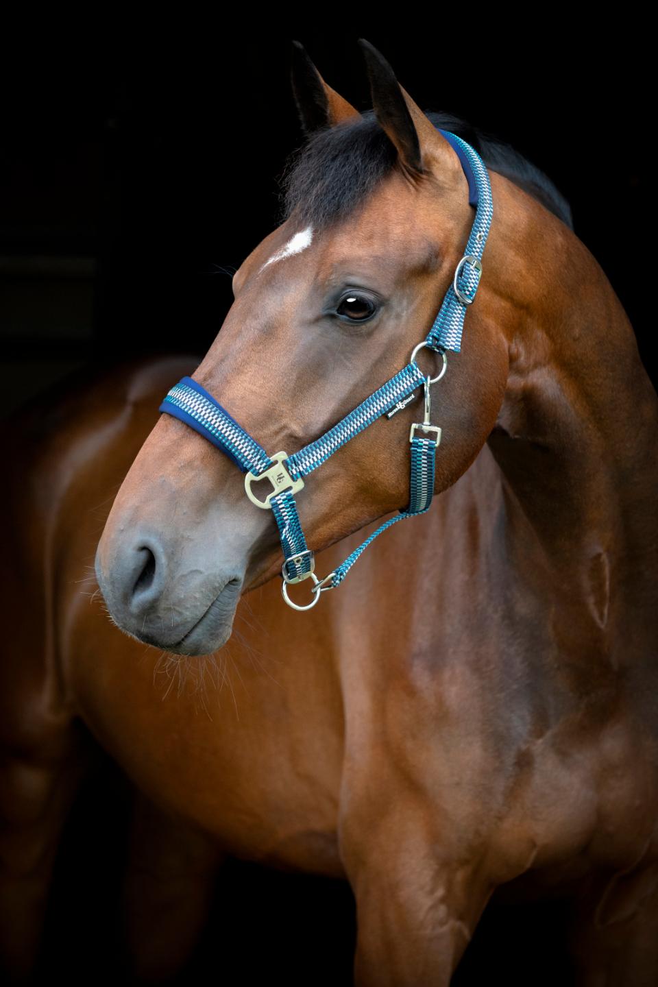 HORSEGUARD COLE Grime. Arctic