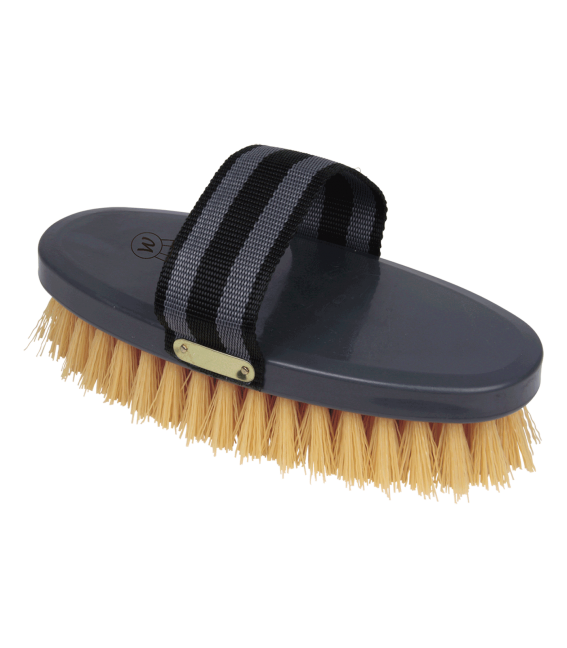 WALDHAUSEN PREMIUM Body brush