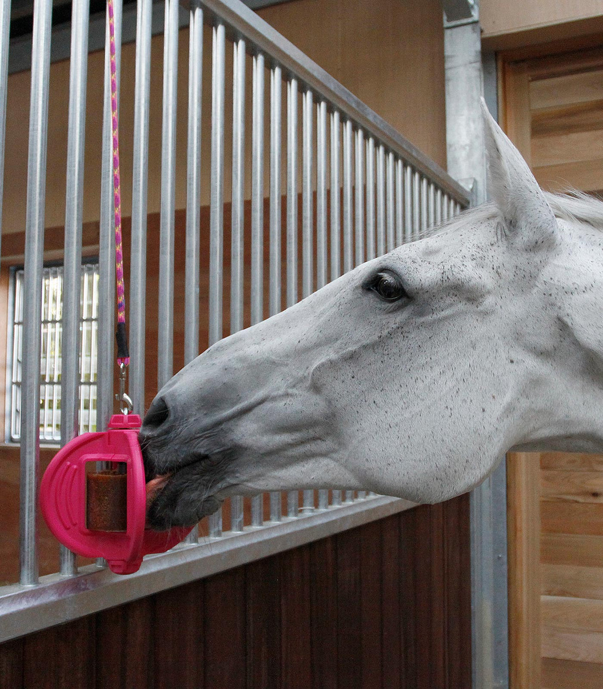 BIZZY BALL holder
