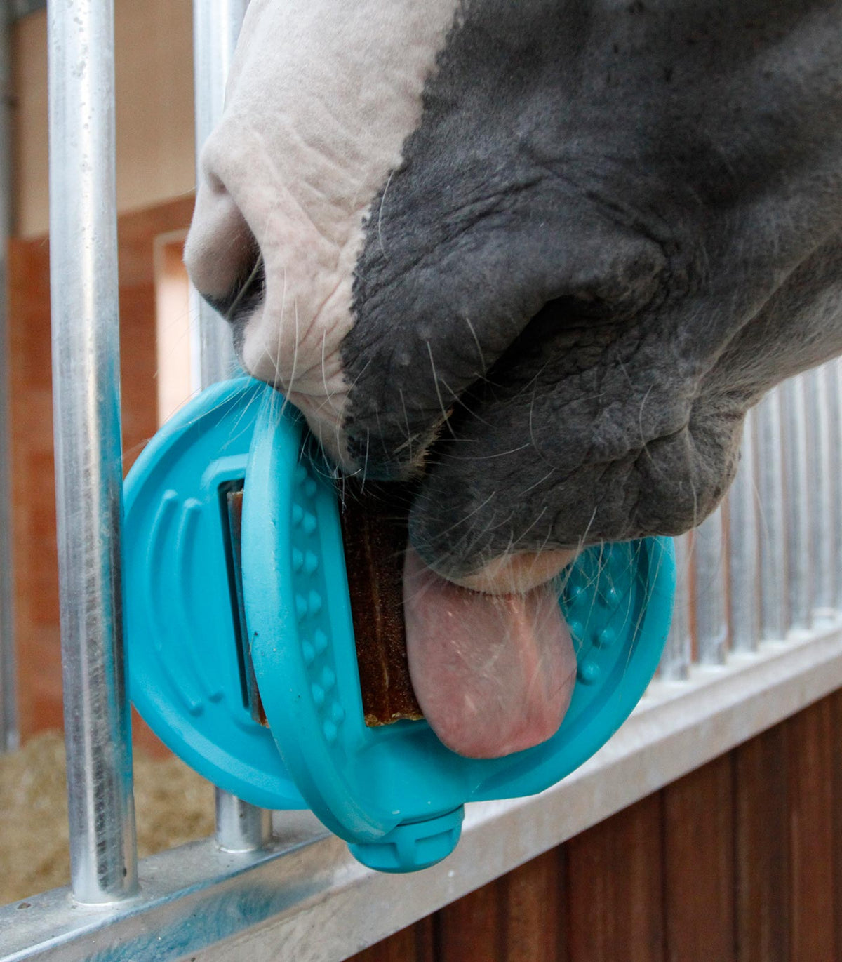 BIZZY BALL holder
