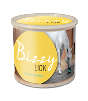 BIZZY BALL Sliksten