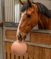 WALDHAUSEN Fun ball