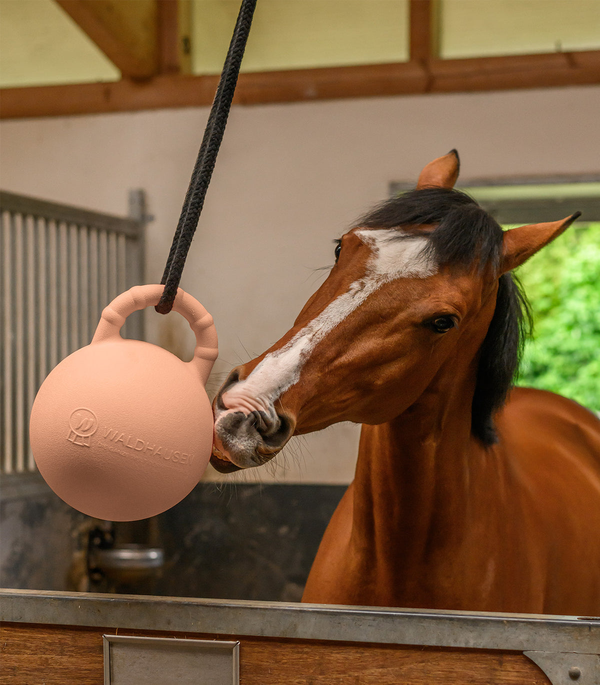 WALDHAUSEN Fun ball