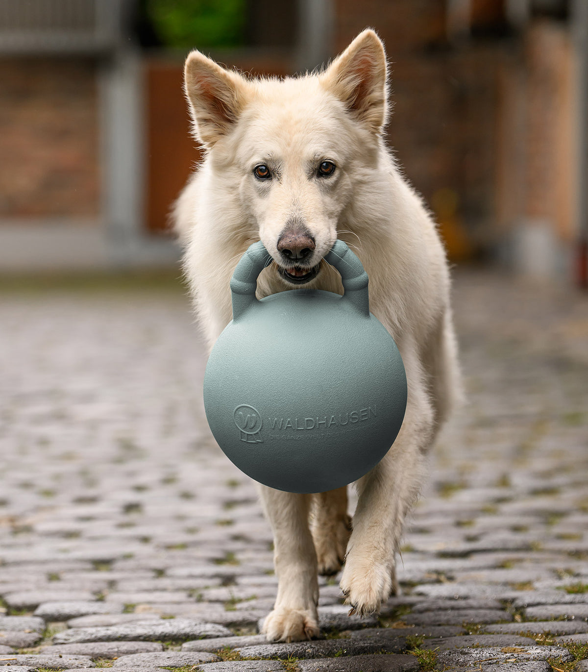 WALDHAUSEN Fun ball