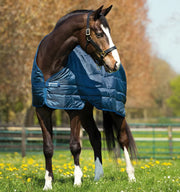 HORSEWEAR liner 200g