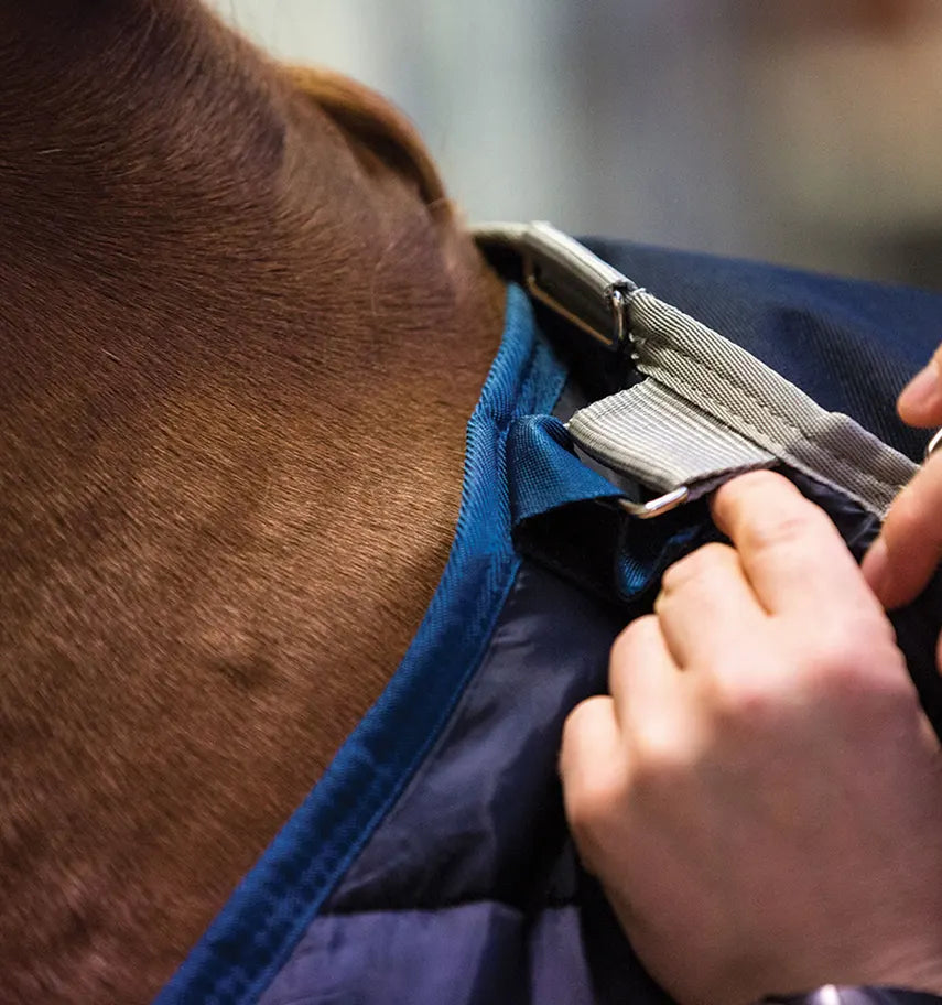 HORSEWEAR liner 200g