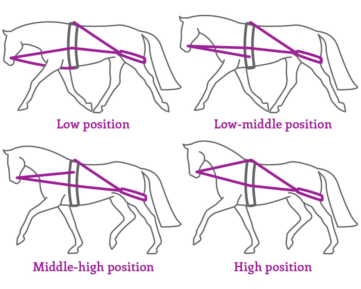 QHP Longeringssystem. Sort