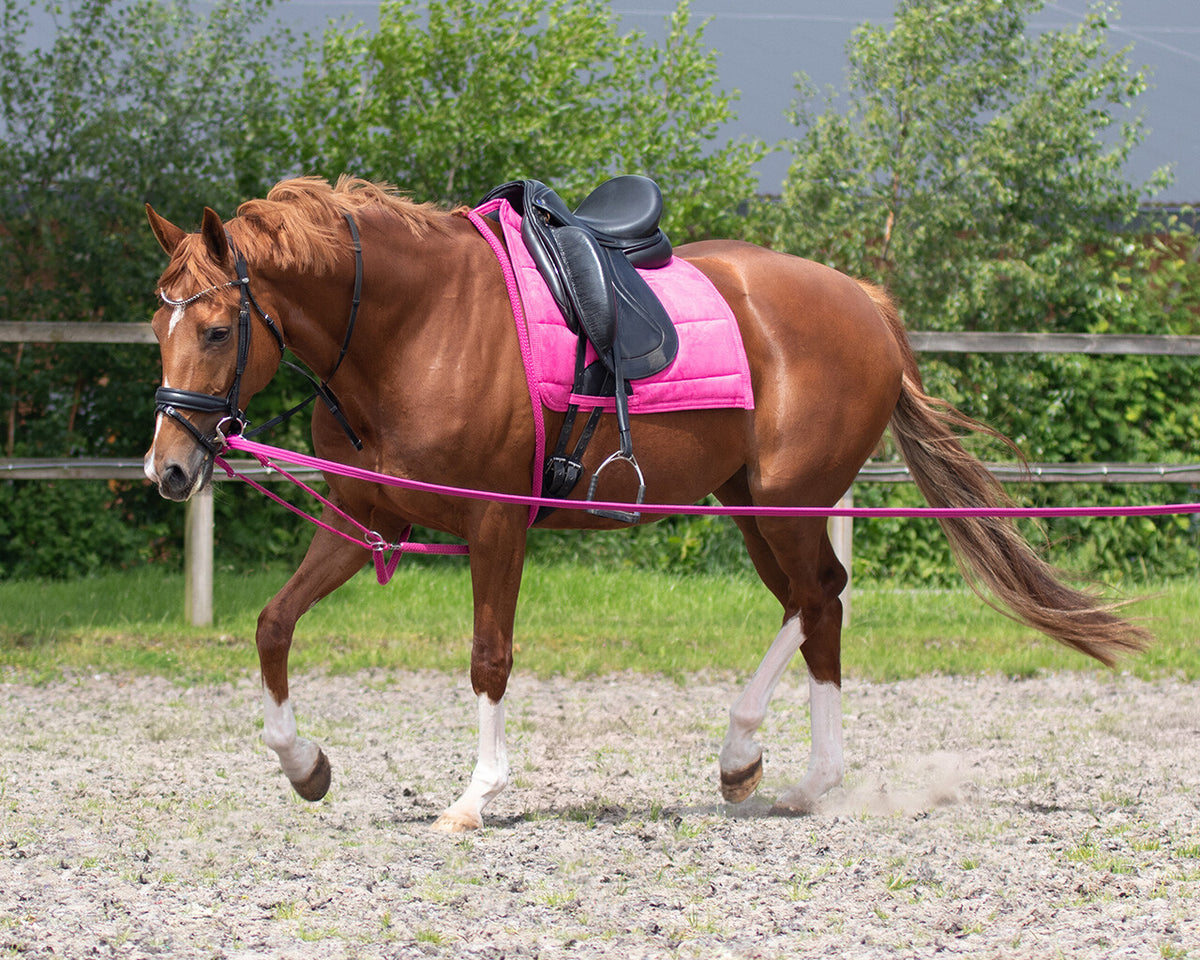 QHP Longeringssystem. Pink