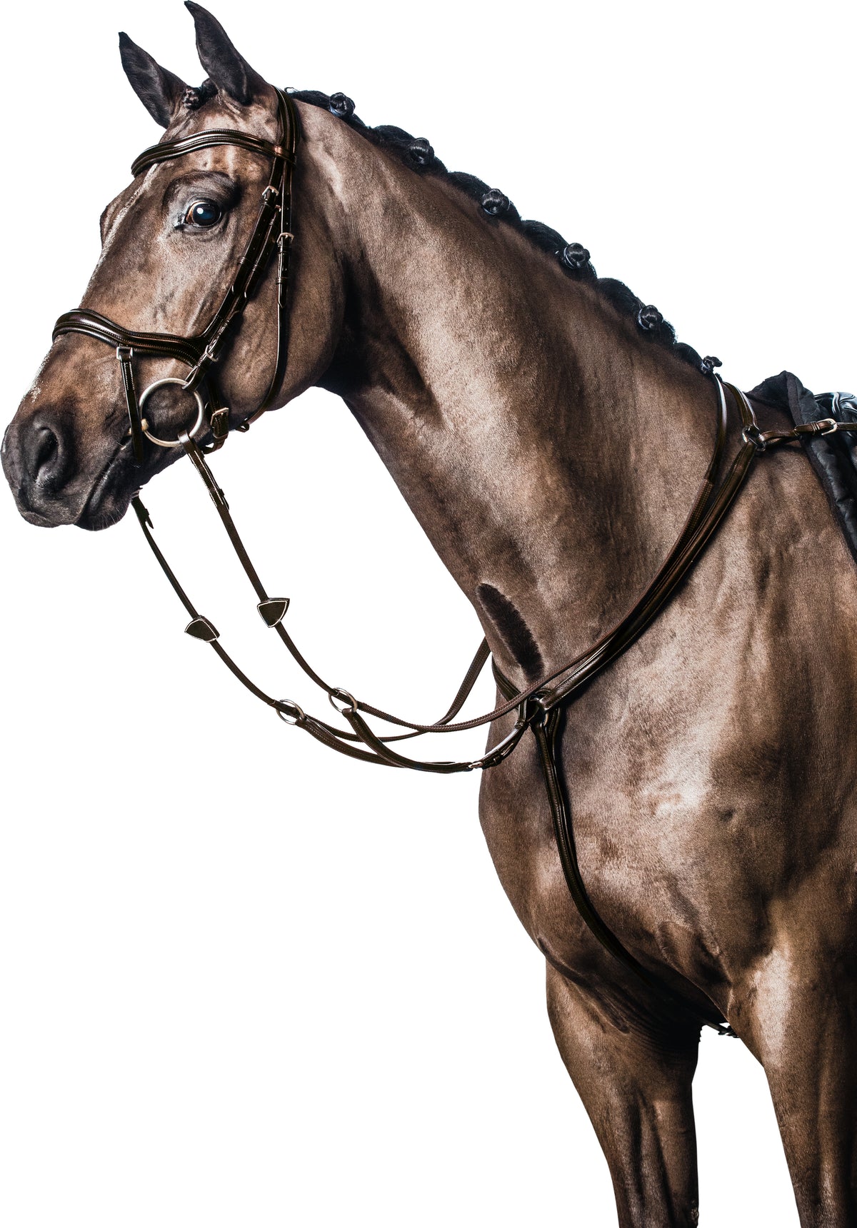 HORSEGUARD Soft læder fortøj