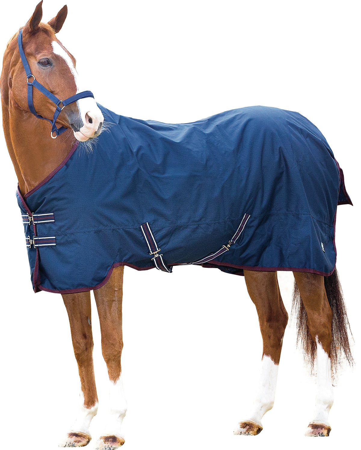 HORSEGUARD Overgangsdækken. 200g