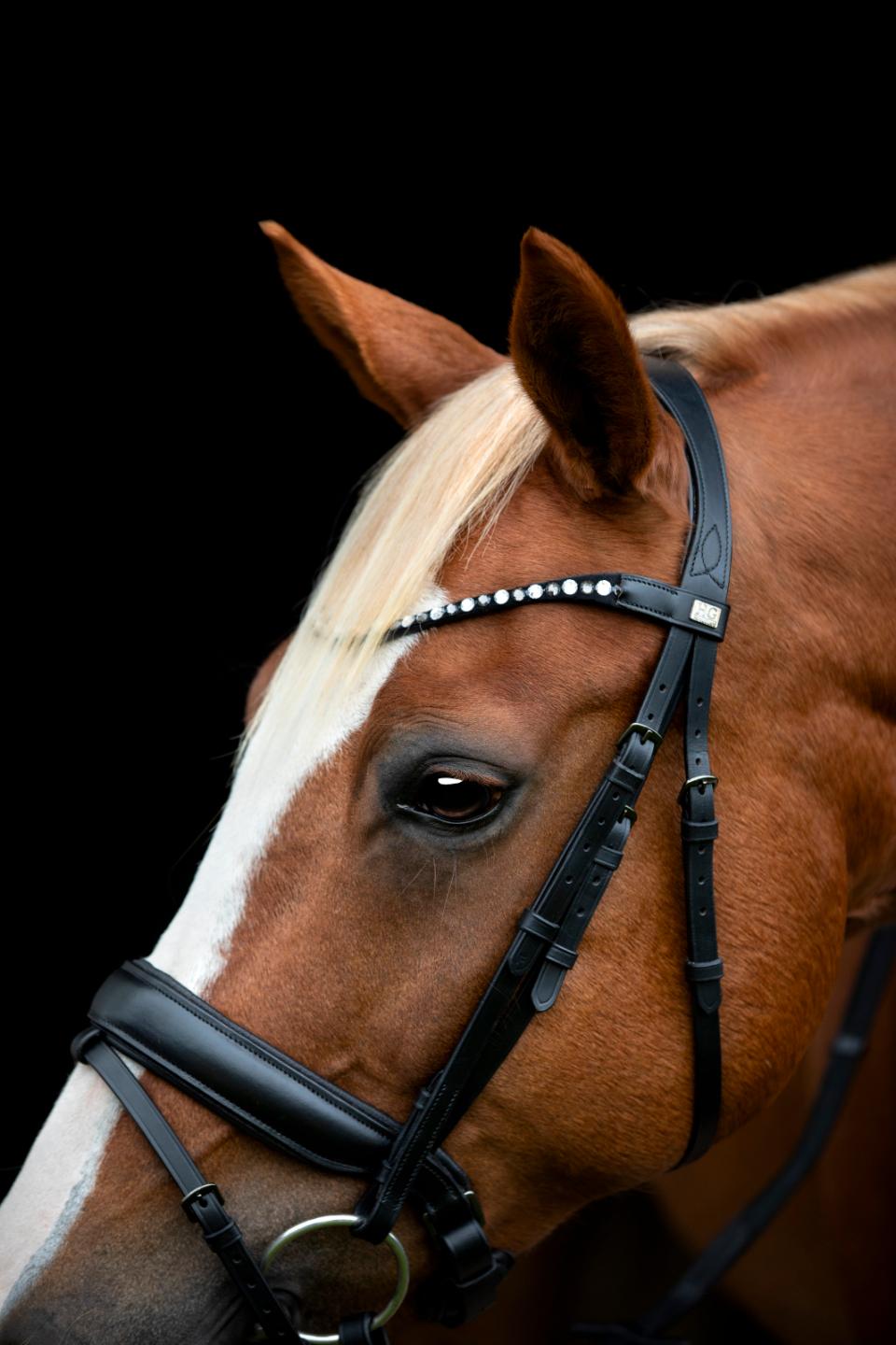 HORSEGUARD CRYLL 25.2 Trense med kombineret næsebånd og tilbagetræk.