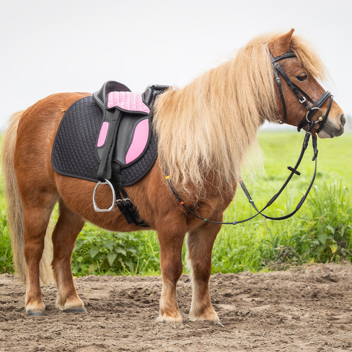 QHP Shetlændersadel med tilbehør. Pink