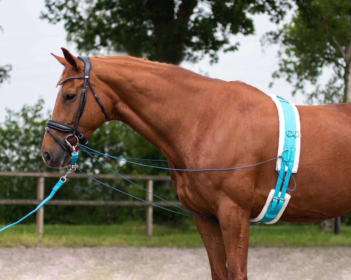 QHP ONTARIO Longeringsgjord. Sky Blue