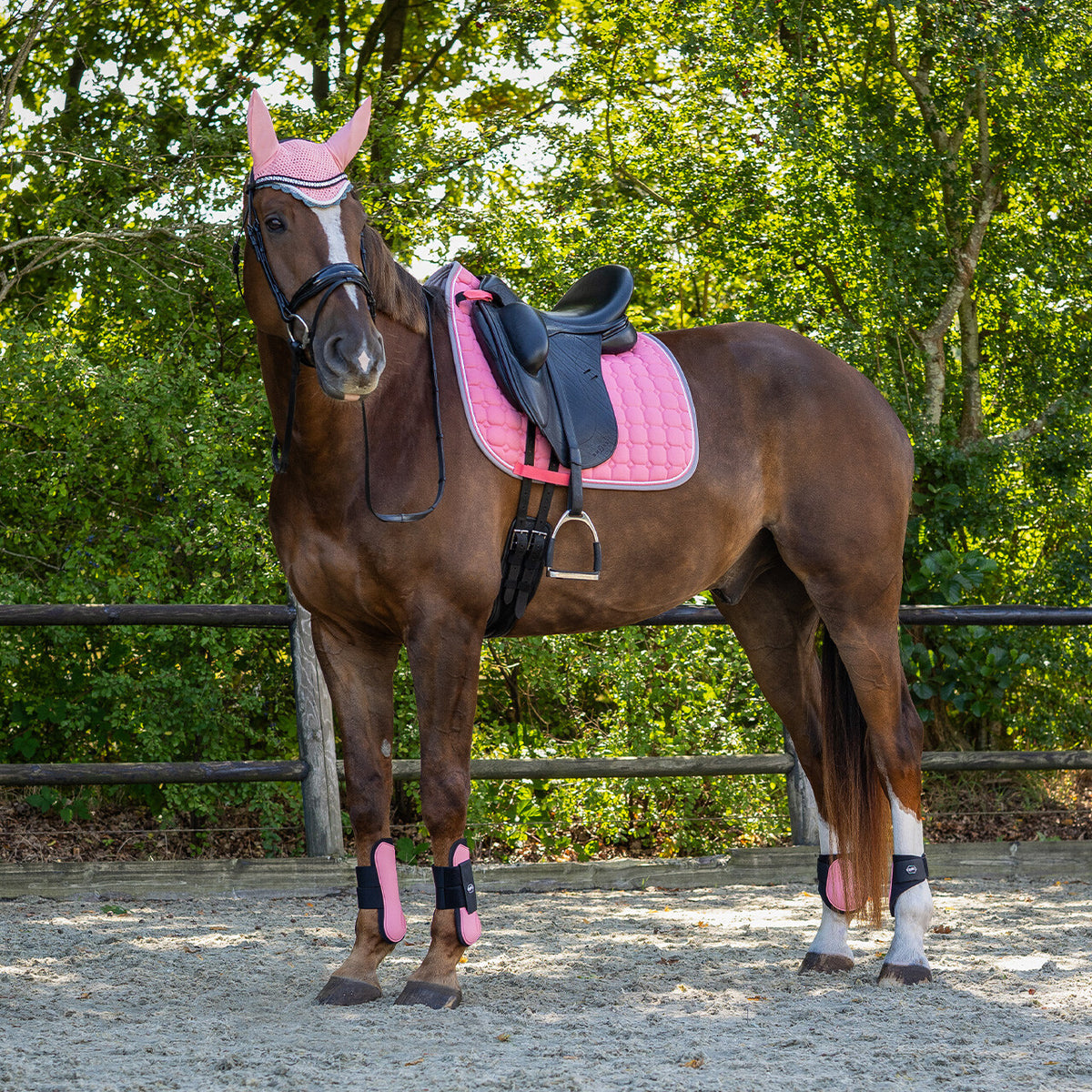 QHP FLORENCE Sadelunderlag. Flamingo Pink