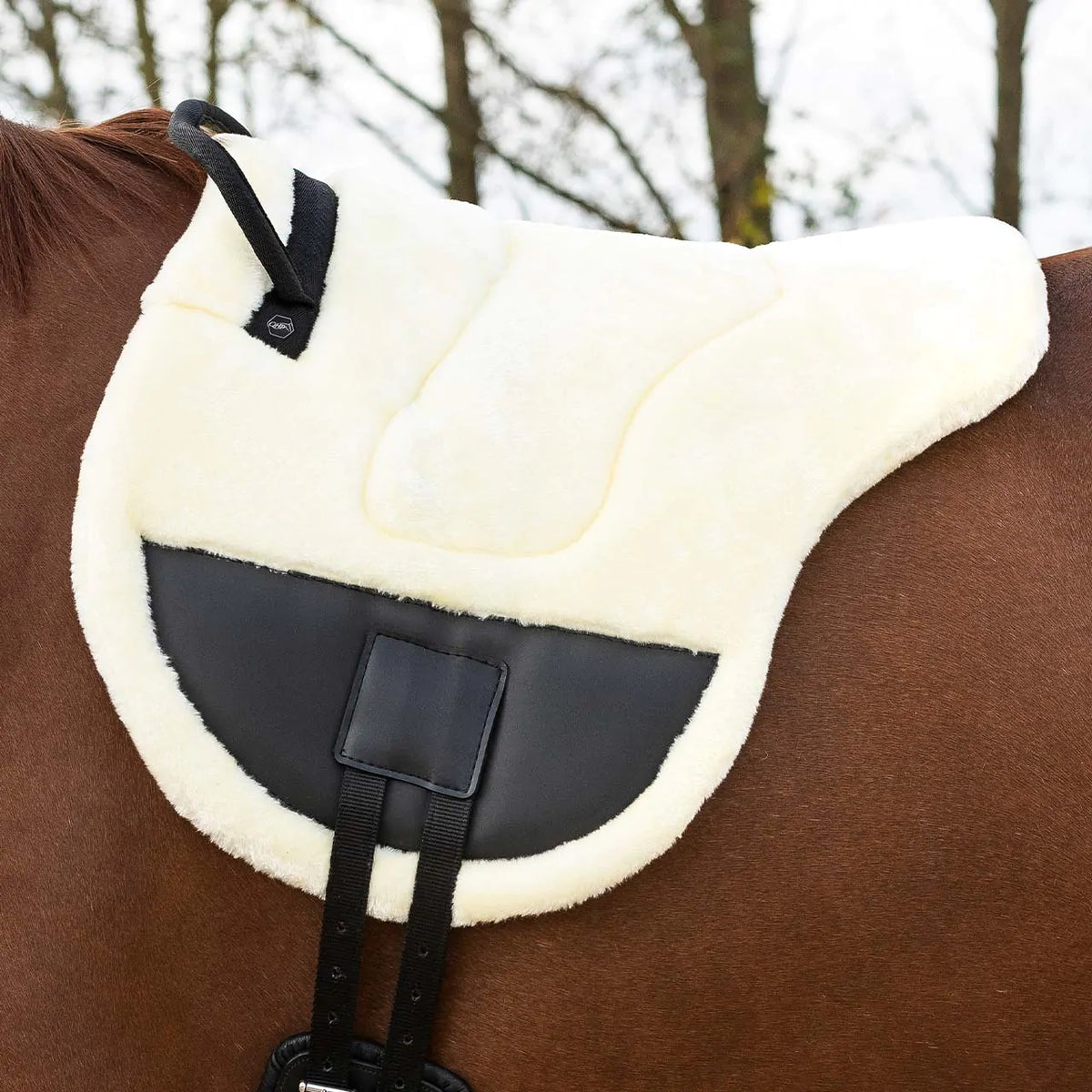 QHP ONTARIO Bareback pad.