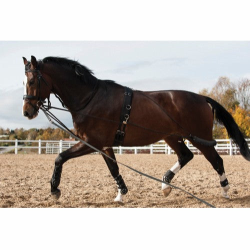 HORSEGUARD Longeringssystem