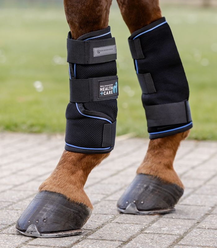 WALDHAUSEN Health + Care Ice Kølegamacher