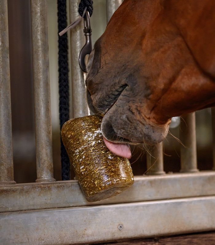 WALDHAUSEN HERBAL LICK Staldsnack til ophæng. 1kg