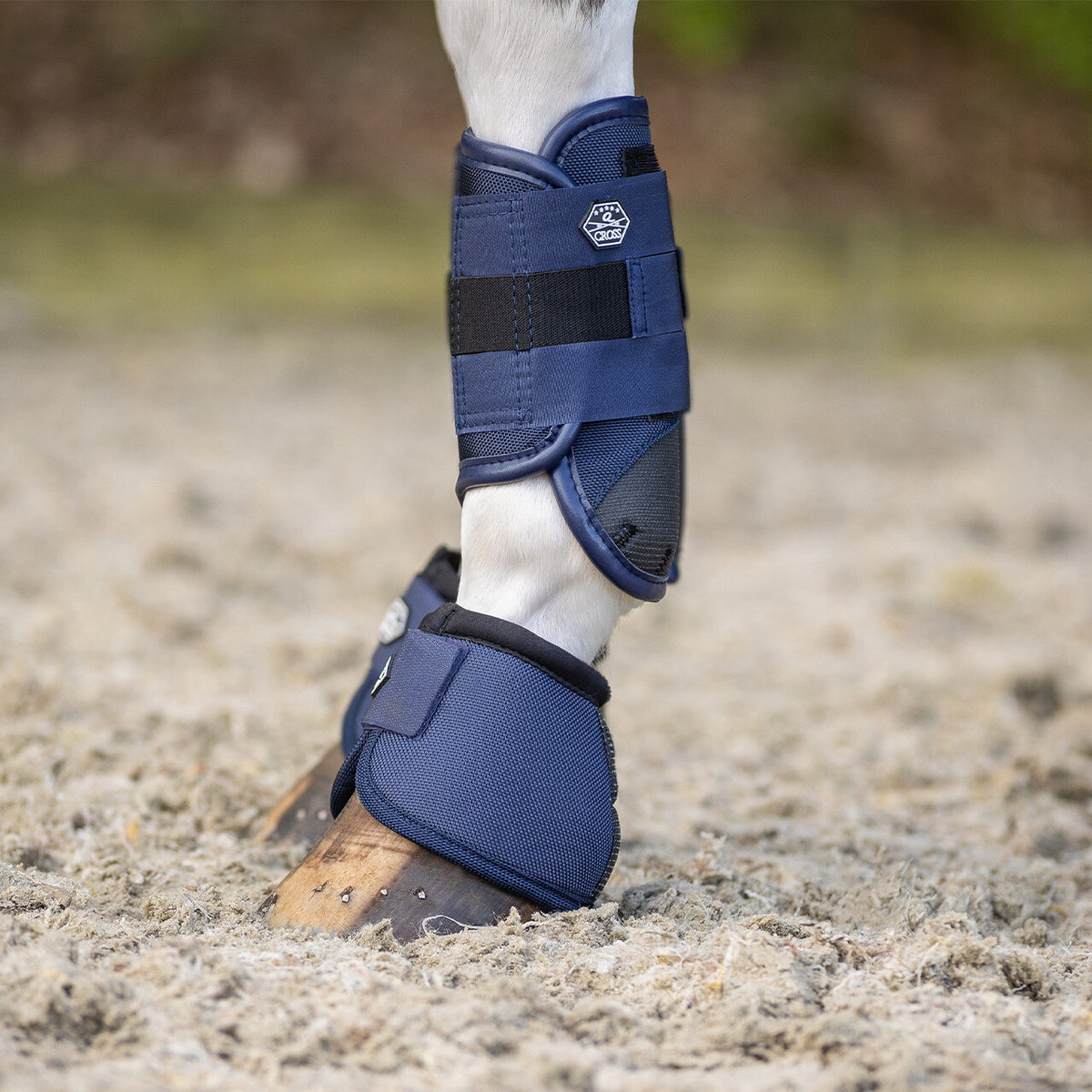 QHP EVENTING Forbensgamacher. Navy