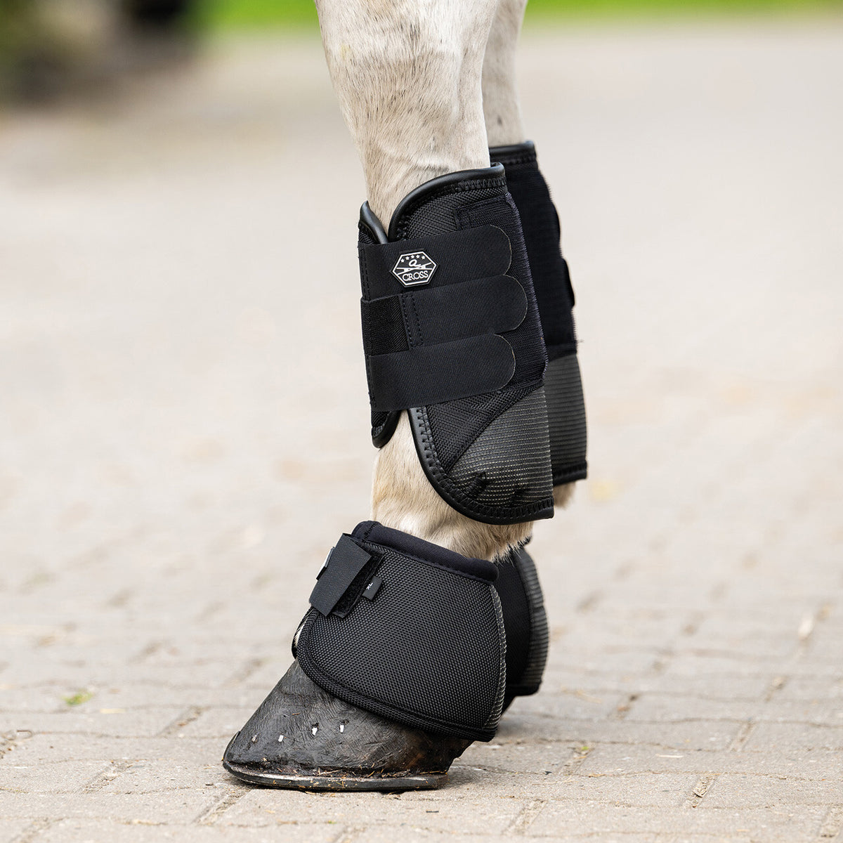 QHP EVENTING Klokker. Sort