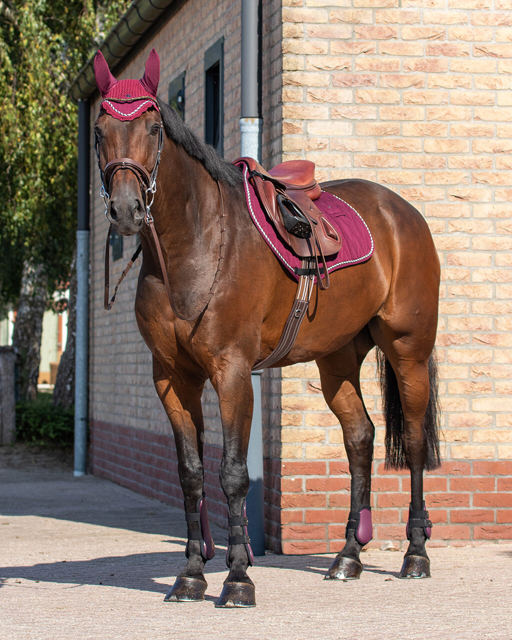 QHP ESSENTIALS Springgamacher. Sæt med 4. Bordeaux