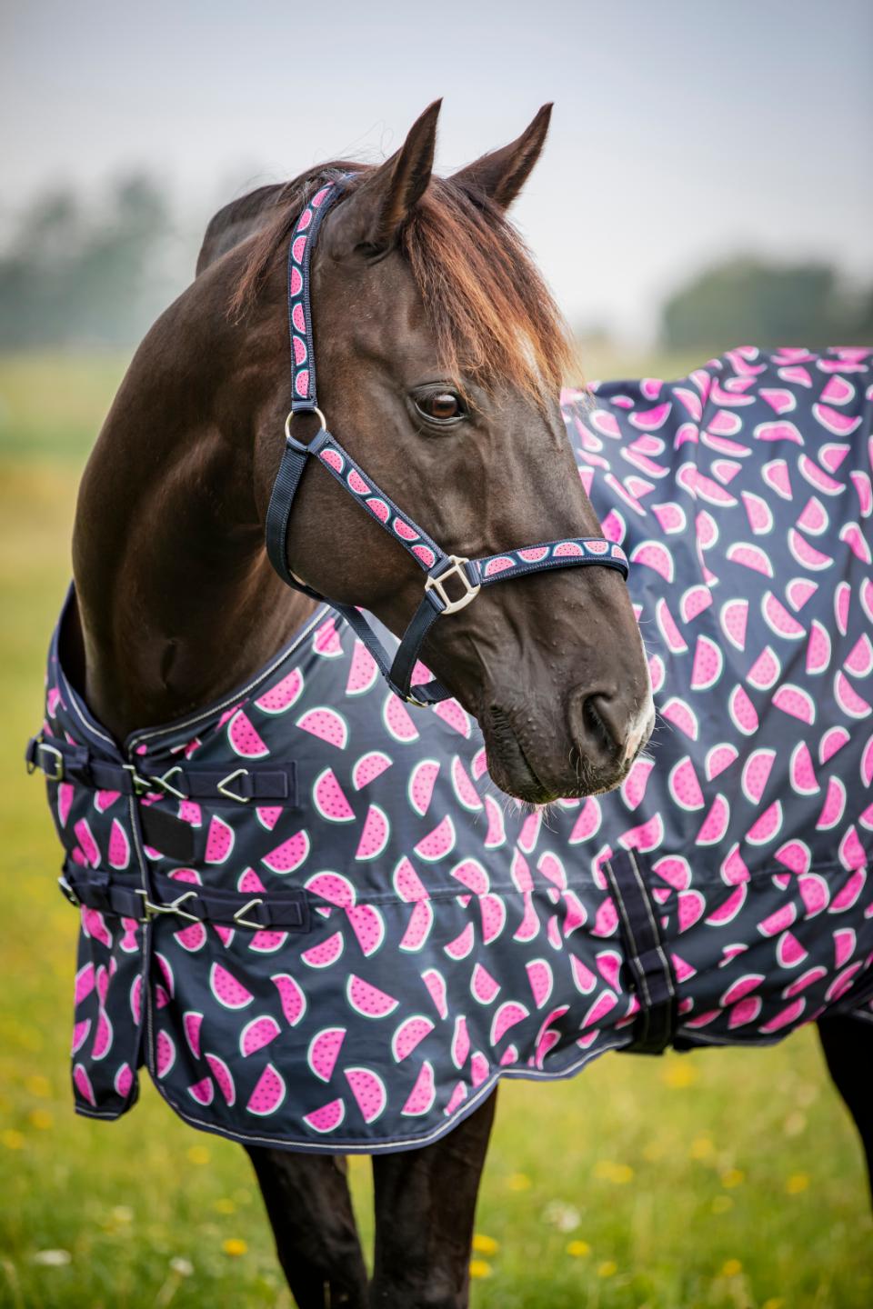 HORSEGUARD MELON Grime